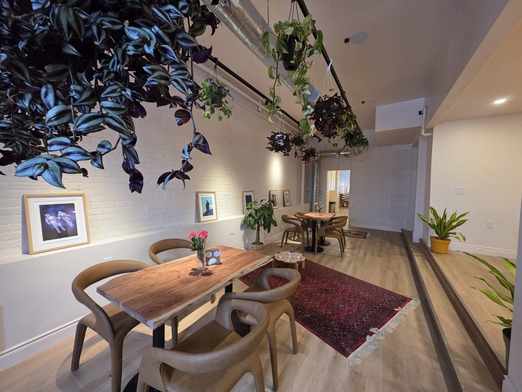 Hayaat's dining room, warmly lit, with hanging plants, framed art, and a Persian rug