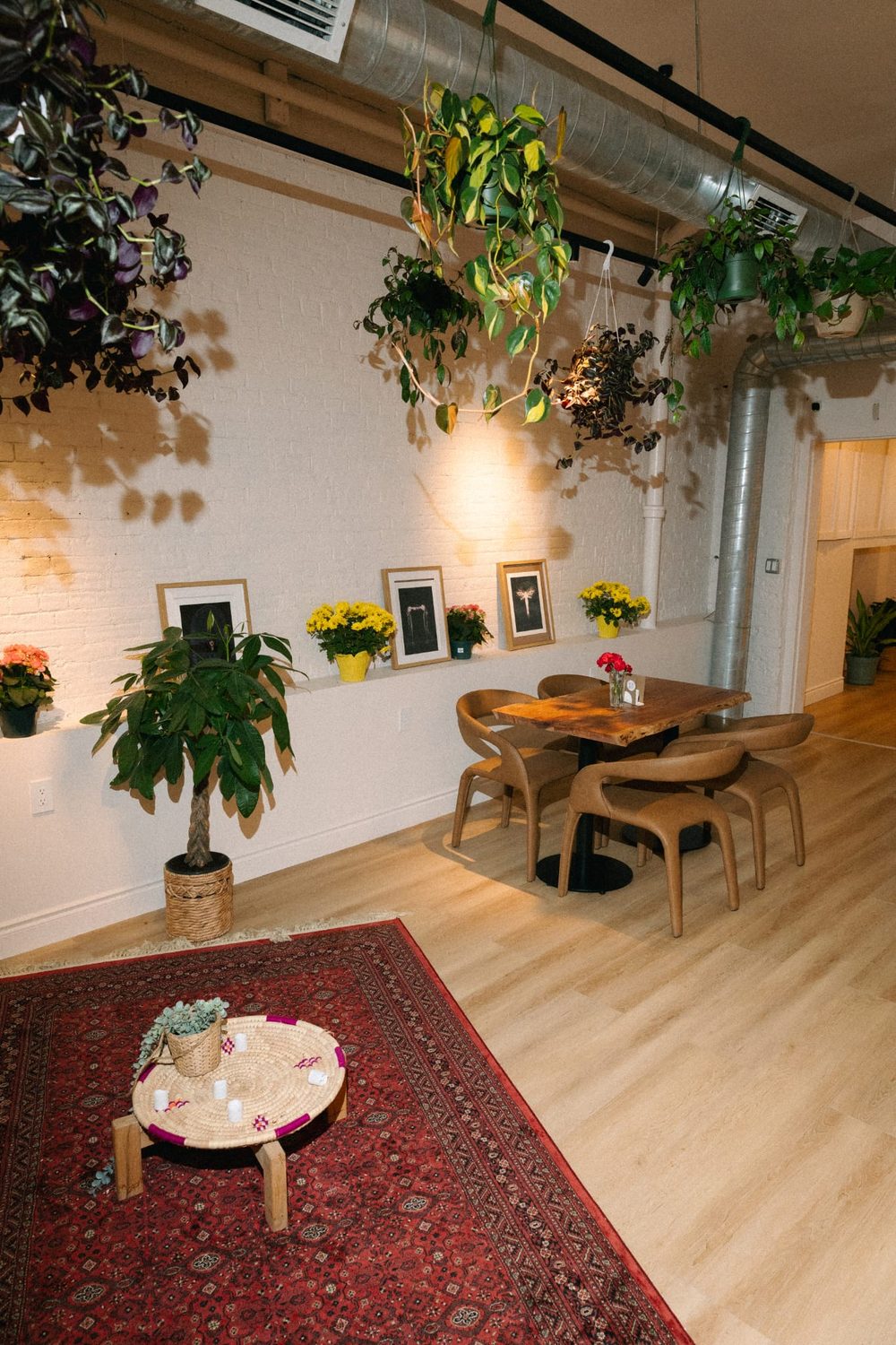 Warm dining corner at Hayaat with a live-edge wood table and hanging plants
